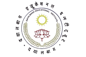 DEI Logo